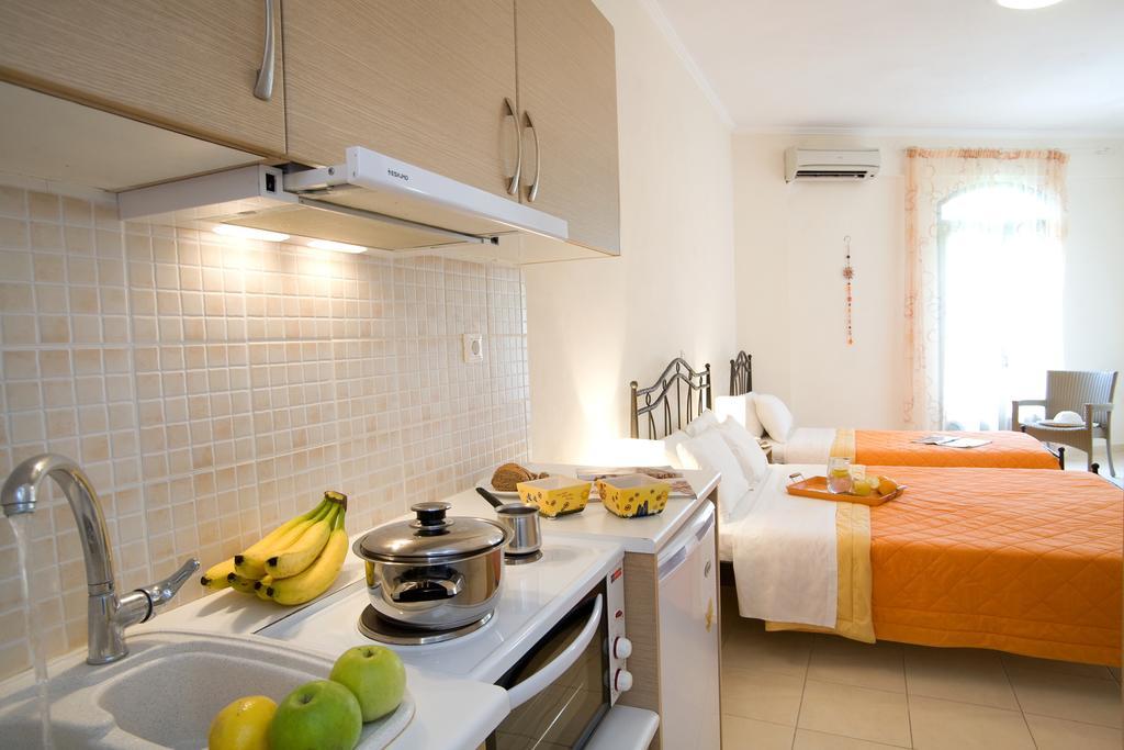 Anemolia Apartments Vasiliki  Room photo